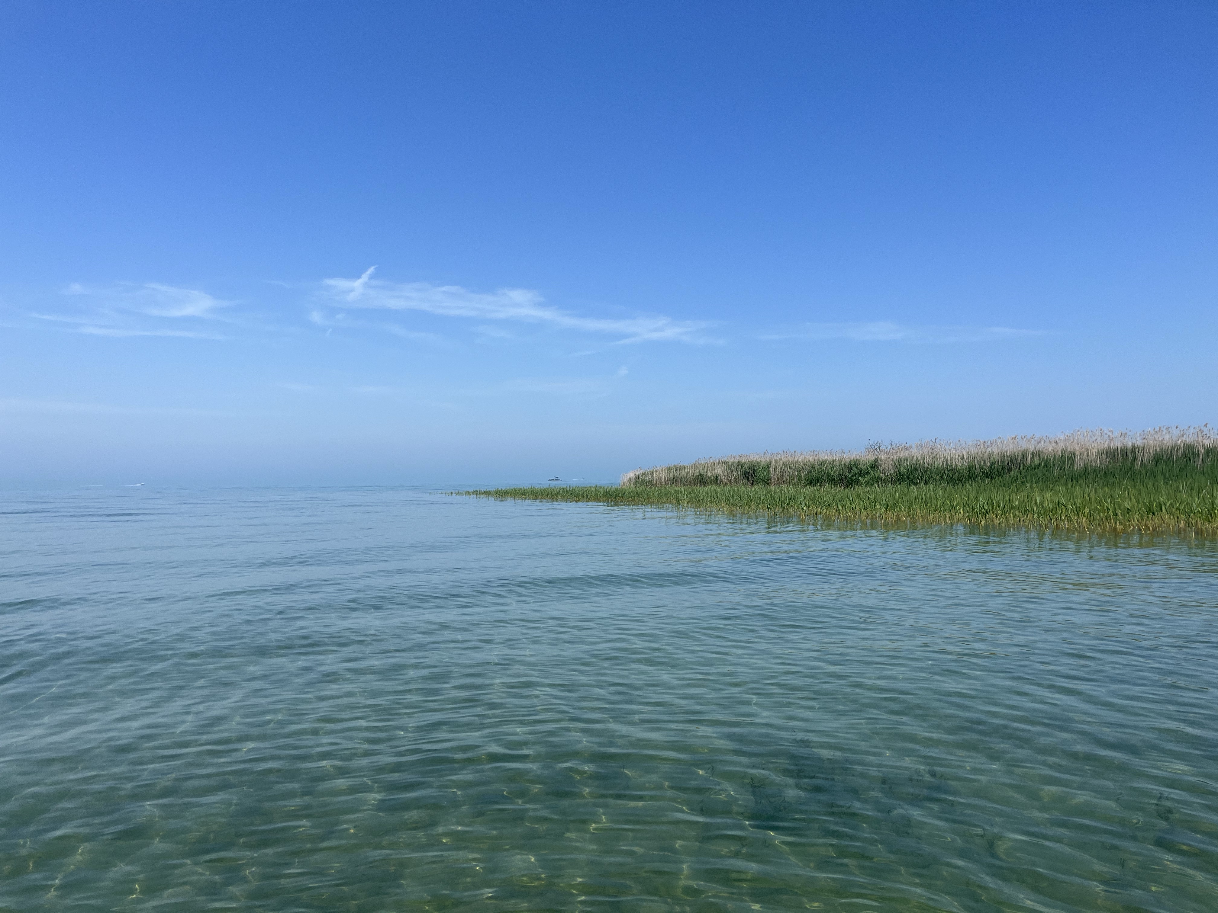 Strawberry Island; Lake St. Clair, Michigan