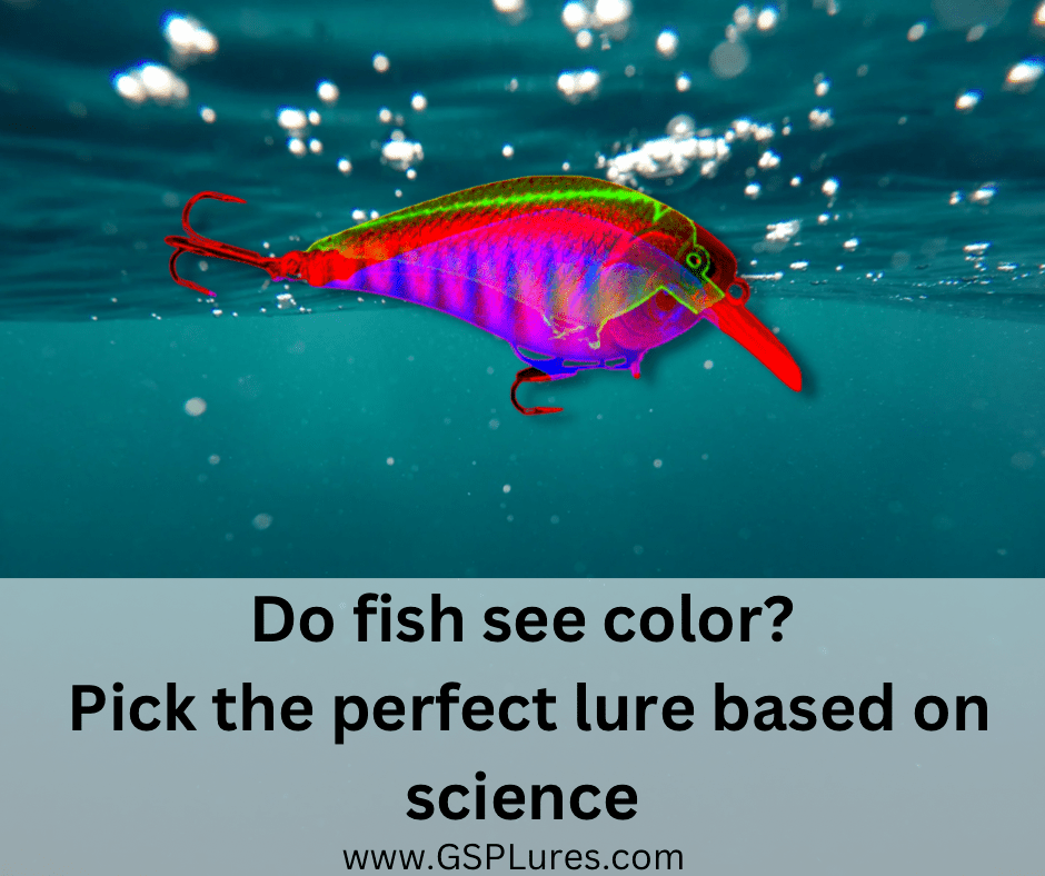 Do fish see color? Pick the perfect lure based on&nbsp;science