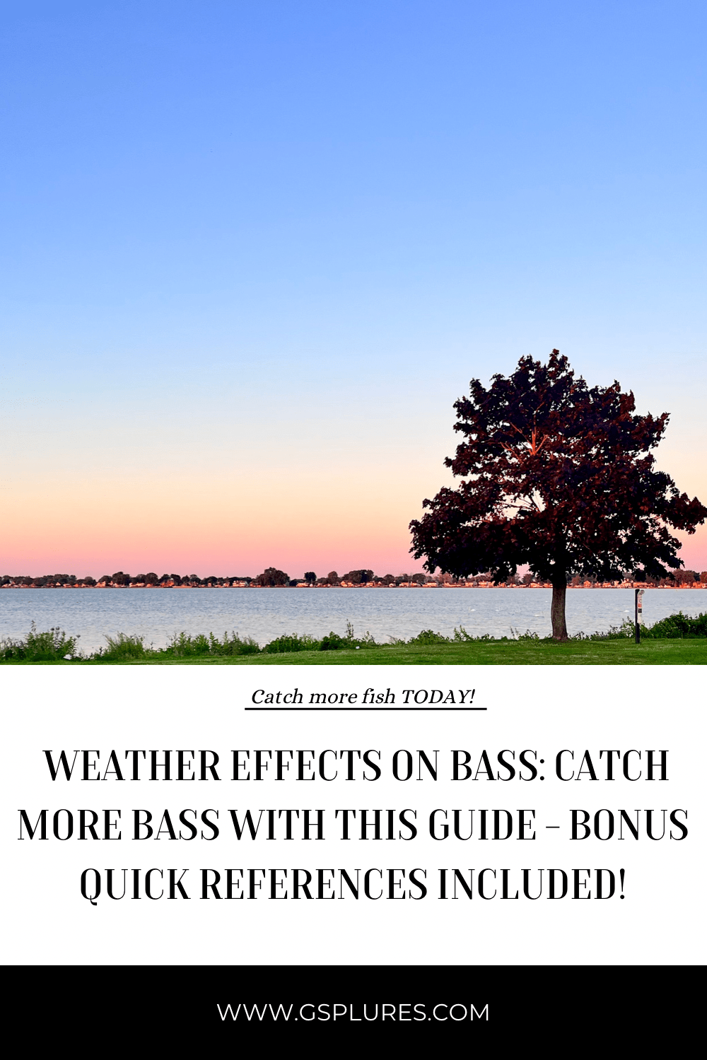 Weather effects on bass: Catch more bass with this guide – bonus quick references&nbsp;included!