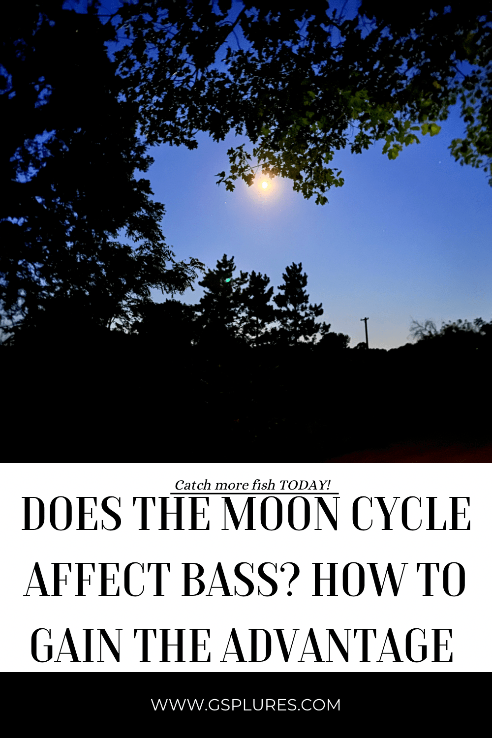 Does the moon cycle affect bass? How to gain the&nbsp;advantage.