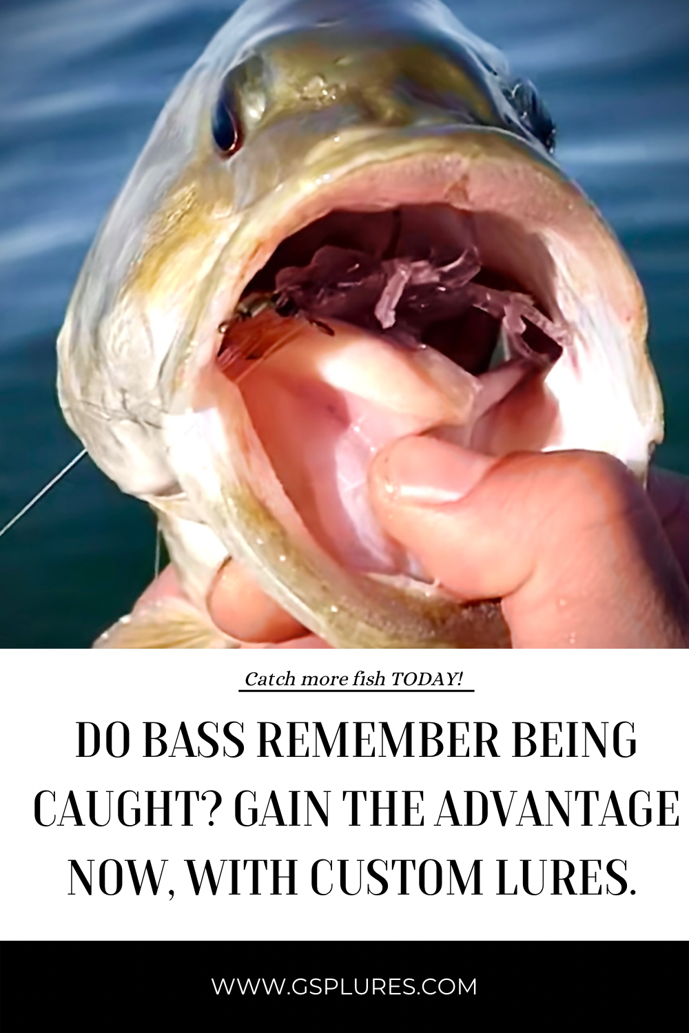 Do bass remember being caught? Gain the advantage now, with custom&nbsp;lures.
